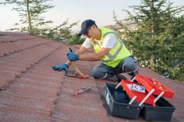 Best Residential Roofing Contractor  in Roscoe, TX