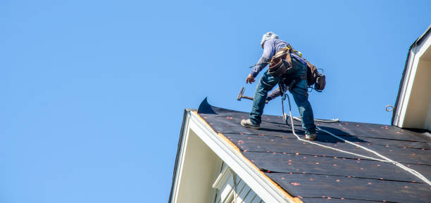Best Commercial Roofing Services  in Roscoe, TX